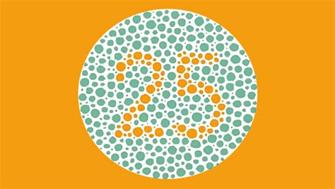 Image result for Test Your Color Perception