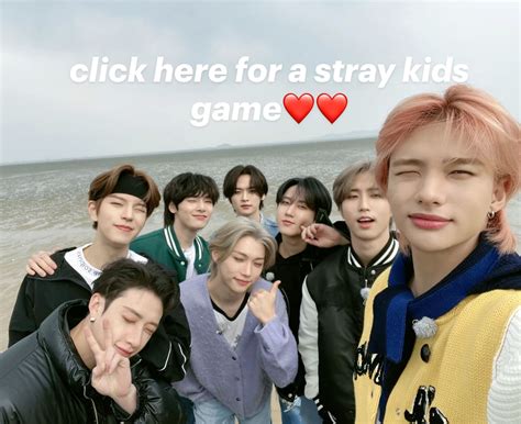 click here for a stray kids game ️ ️ in 2025 | Games for kids, Savage ...