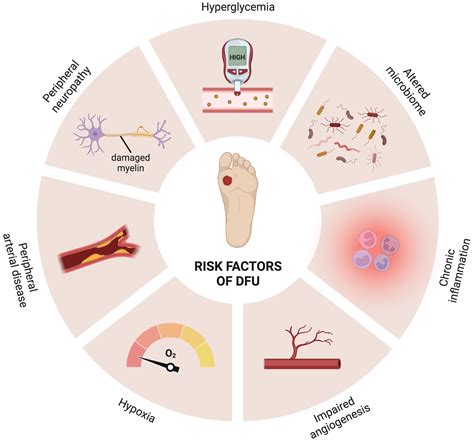 Types Of Wound Dressing For Diabetic Foot Ulcer at Lacey Chandler blog