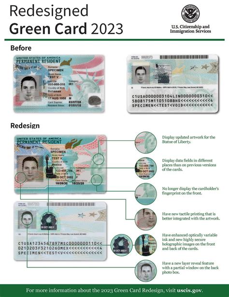 Green Cards - Types, Cost, Application Process, and Timeline