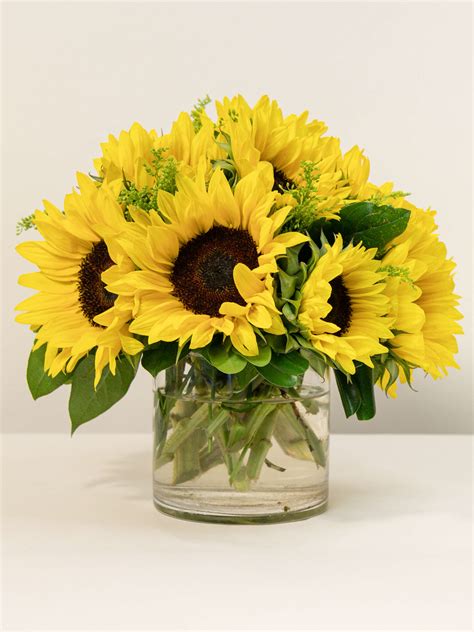 How To Make Sunflowers Last In A Vase at Amy Grant blog