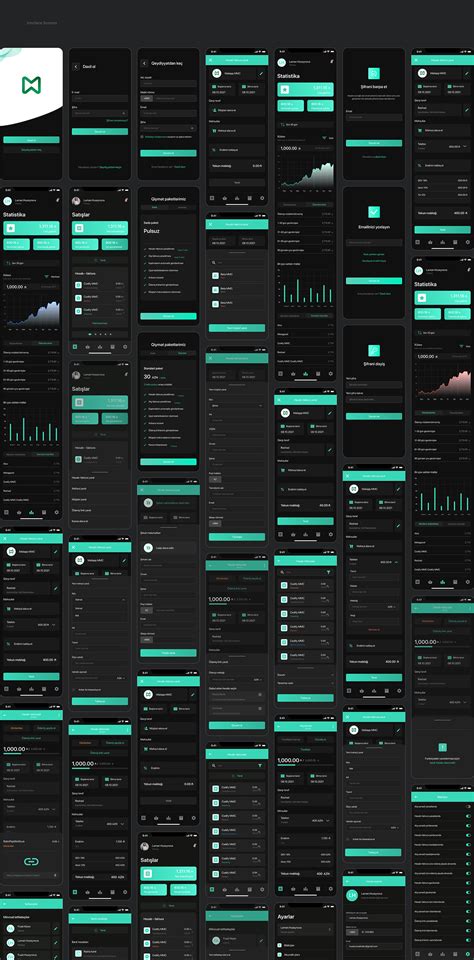 Image result for Manager Accounting Program Tutorial