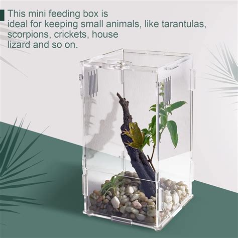 BETAZOOER Acrylic Mini Reptile Tank Habitat India | Ubuy
