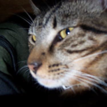 Amazon.in: Buy Eeekit 2-Pack Ddr4 Laptop So-Dimm to Desktop Dimm Memory ...