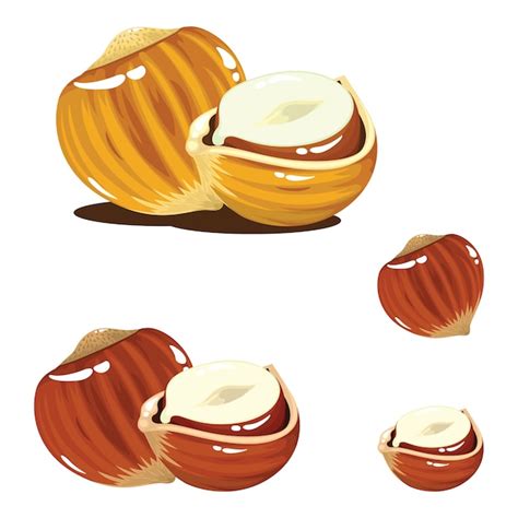 Hazelnut nut realistic | Premium Vector
