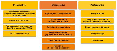 Invasive Fungal Breakthrough Infections under Targeted Echinocandin ...