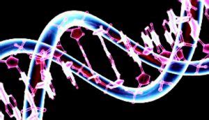DNA Activation Code 的图像结果