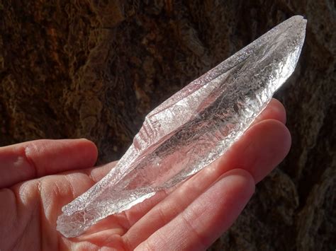 Lemurian Roots Quartz (Pure Ray) | 虹石屋