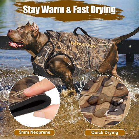 Hunthor Dog Hunting Vest, 5 mm Neoprene Dog Vest Hunting, India | Ubuy