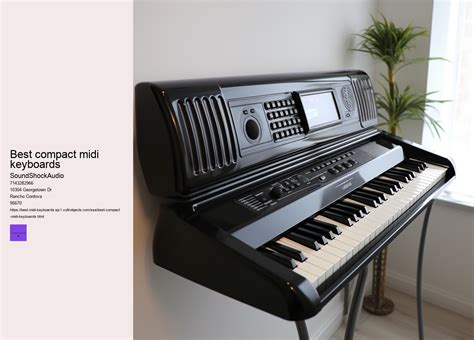 Image result for Best Compact Midi Keyboards