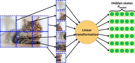 Image result for Vision Transformer Encoder/Decoder
