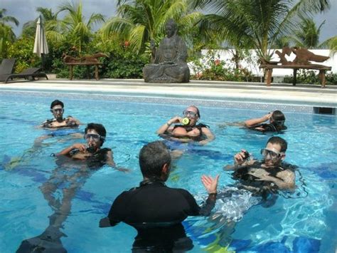 My Favorite DC In San Andrés - Reviews, Photos - Scuba San Andres Dive ...