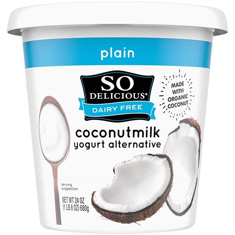 5 Best Vegan Probiotic Yogurts – The Vegan's Pantry