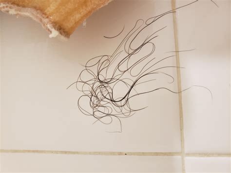 How Much Hair Loss Is Normal In The Shower Male at Brock Kyte blog