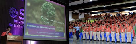 World Numbat Day: Shedding Light on Preserving Biodiversity - Best ...