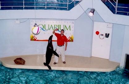 Aquarium of Niagara,USA