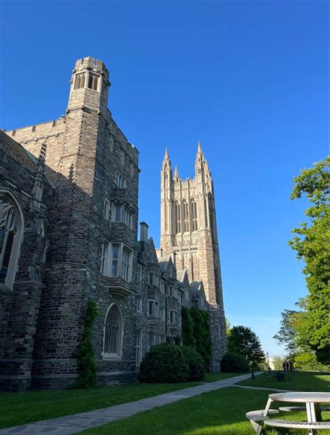 Princeton Graduate Programs 的图像结果