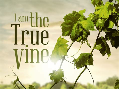 The Vine and the Branches (John 15:1-8) - Redeeming God