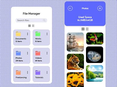 Web File Manager 的图像结果