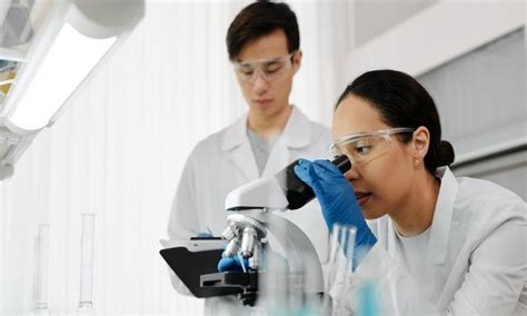 'Liver-targeting medicine reverses obesity, lowers cholesterol in mice'