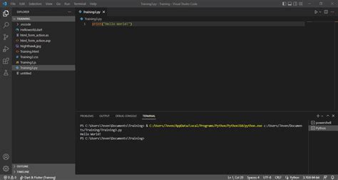 Image result for Ngodingdart Vscode