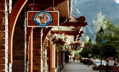 Cool As A Moose | Banff & Lake Louise Tourism