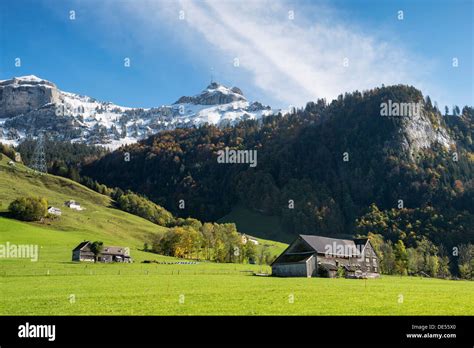 Alps Encoder 的图像结果