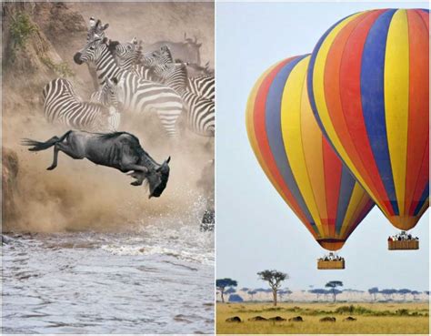 How to plan the perfect African safari | Condé Nast Traveller India