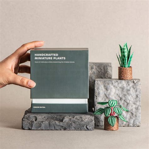 Snake Plant & Watermelon Peperomia | Set of 2 | Miniature Paper Plant ...