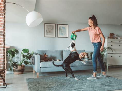 De Worming Dogs Naturally 的图像结果