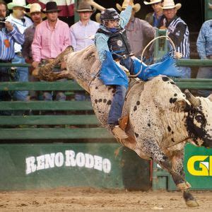PRCA Xtreme Bulls, Stampede Arena - Greeley | AllEvents