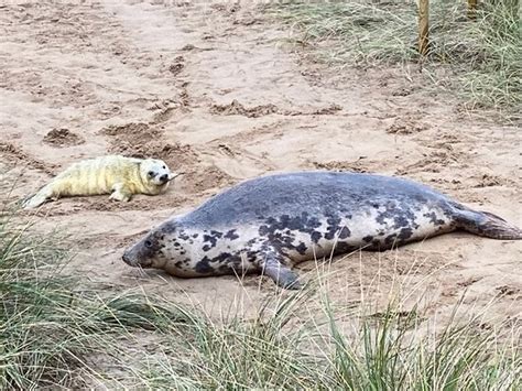 Her on a Hill - Sheffield | Tripadvisor