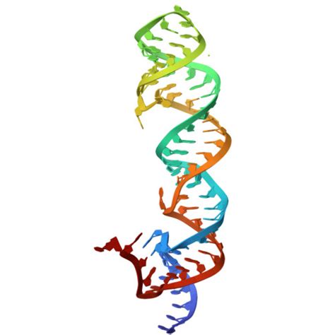 RNA Drawing 的图像结果