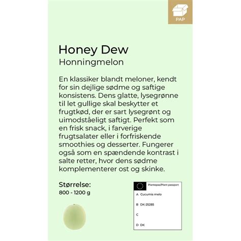 Honey Dew - Honningmelon - Ø12 cm - Anchers Havecenter
