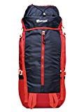 Impulse Inverse 65 Ltrs Blue Rucksack: Amazon.in: Bags, Wallets & Luggage