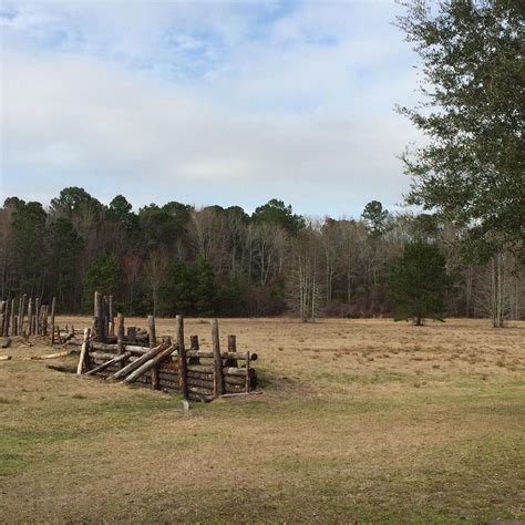 CAMP MILTON - All You Need to Know BEFORE You Go 2026 (with Photos ...