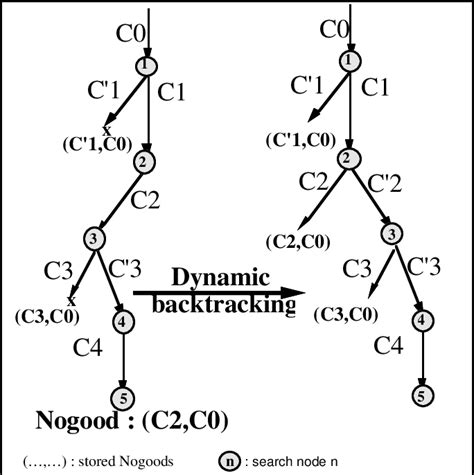 Dynamic Programming and Backtracking Diffrence 的图像结果