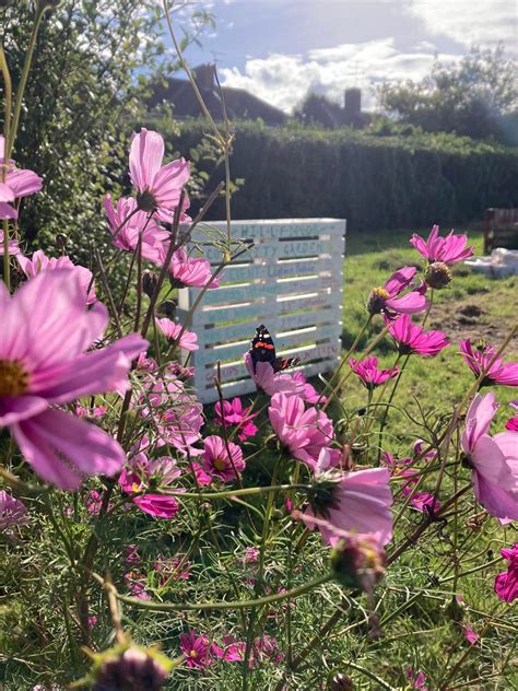 Wild Women - Yoga - booking essential , Thicket Avenue, BS16 4EP ...