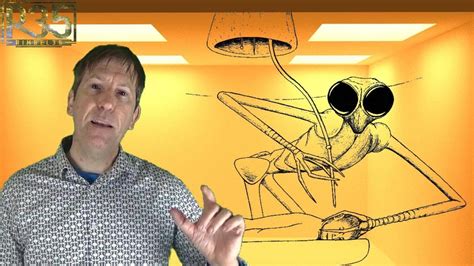 Image result for Alienigenas Del Cuerpo Completo