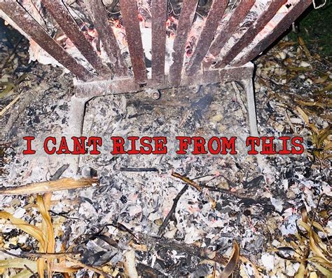 Image result for Camera Roll Challenge