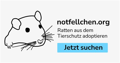 Notfellchen - Farbratten aus dem Tierschutz adoptieren