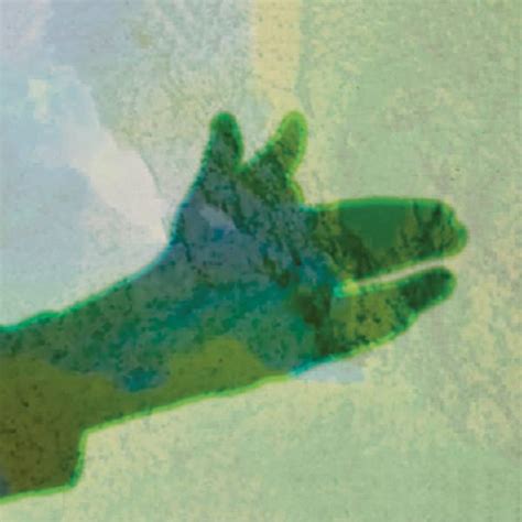 Camo: Native Instrument: Amazon.in: Music}