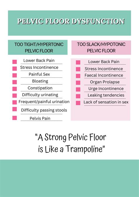 Pelvic Floor Dysfunction - SarahLouYoga
