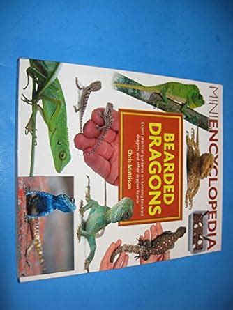 Buy Bearded Dragons: Expert Practical Gudnce on Keeping Bearded Dragons ...
