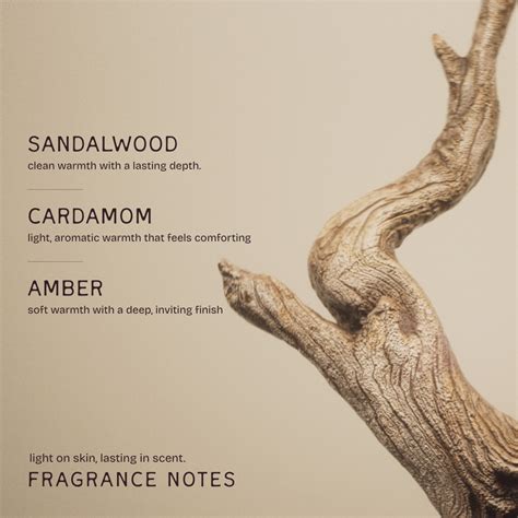 The Bare Bar: Natural Face, Hair & Skin Care Products – THE BARE BAR