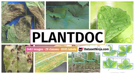 PlantDoc - Dataset Ninja