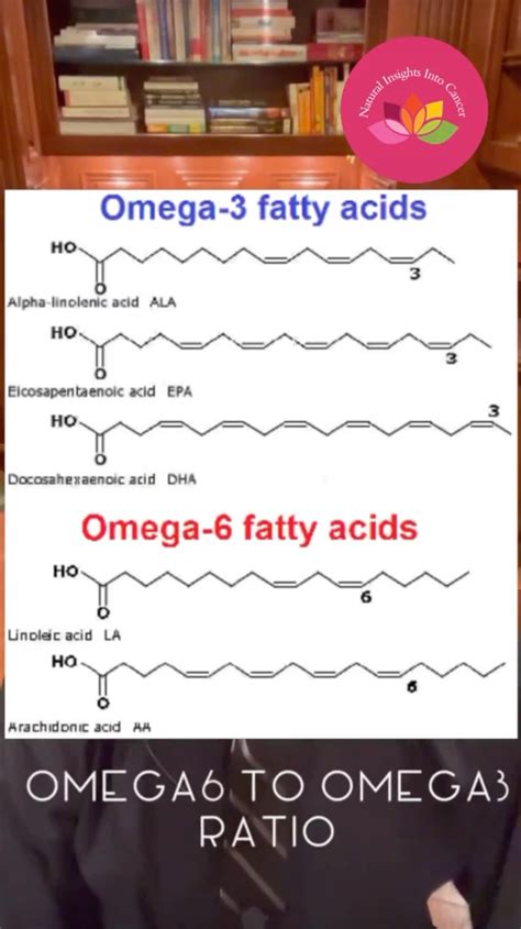 THE IMPORTANCE OF THE OMEGA 6 TO OMEGA 3 ESSENTIAL FATTY ACID RATIO