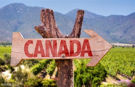 加拿大本科留学5种录取方式 - 知乎