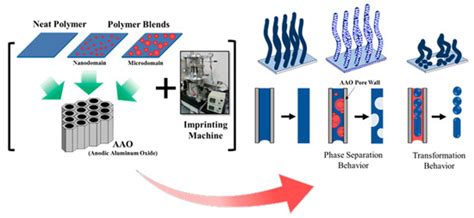 Replication of Mesoscale Pore One-dimensional Nanostructures: Surface ...