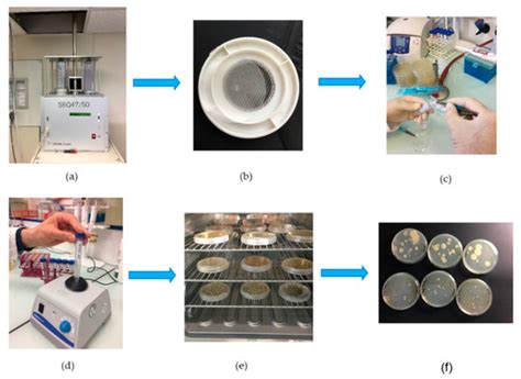 Atmospheric Biodetection Part I: Study of Airborne Bacterial ...